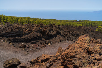 The lava fields of the Teide volcano and thickets of Canarian pine. Viewpoint - Mirador de los Poleos. Tenerife. Canary Islands. Spain.