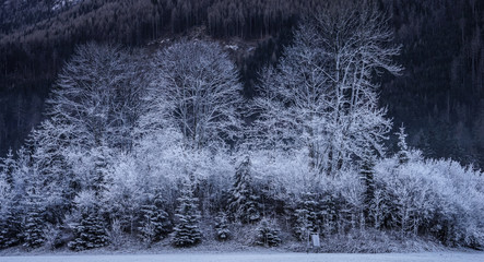 Winterpanorama. Winterstraße. Winterurlaub. Österreich. Italy.
