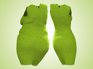 Conceptual fat overweight obese female dress outfit vs slim fit healthy body after weight loss or diet thin young woman on green. A fitness, nutrition or fatness obesity health shape 3D illustration
