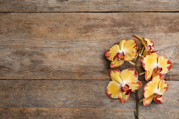 Naklejka na ściany i meble Branch with beautiful tropical orchid flowers on wooden background, top view. Space for text