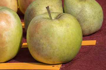 sweet fresh apple