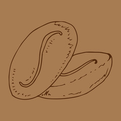 Coffee beans icon. Vector of coffee beans. Hand drawn coffee beans logo.