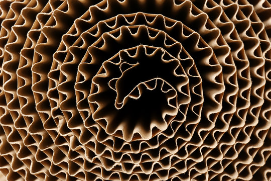 Roll of brown corrugated cardboard, closeup. Recyclable material