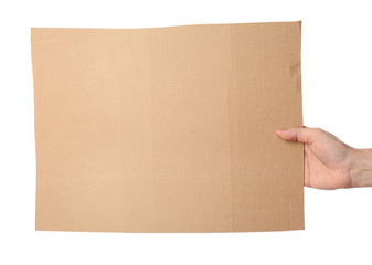 Woman holding piece of cardboard on white background, closeup. Space for text