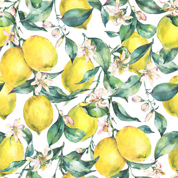 Watercolor vintage seamless pattern, branch of fruit lemon