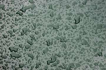 Rain droplets drops wet car green black hood