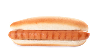 Fresh tasty hot dog on white background
