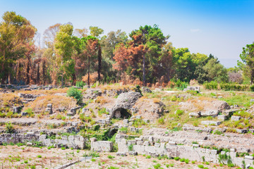 Fototapeta na wymiar The Roman amphitheatre of Syracuse – ruins in Archeological park, Sicily, Italy.