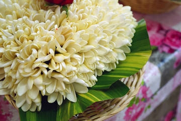 Fragrant hei necklace made with fresh tiare flowers in Tahiti, French Polynesia