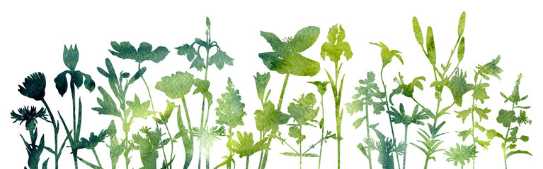 watercolor silhouettes of wild flowers