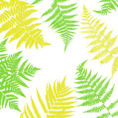 Fototapeta na wymiar Background with fern leaves