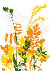 Tempalte with leaves and plants silhouettes