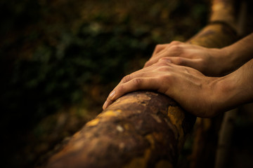 Man hands  leaning on an old tree 