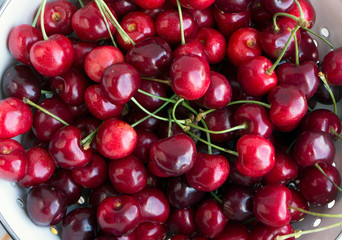 Lots of fresh ripe black cherries