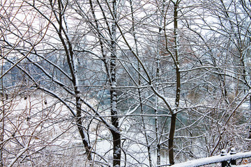 Winter. Christmas and New Year. Beautiful mystery with snowy trees and a river. Winter landscape