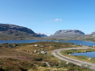 Fototapeta na wymiar The shore of the fjord in Norway
