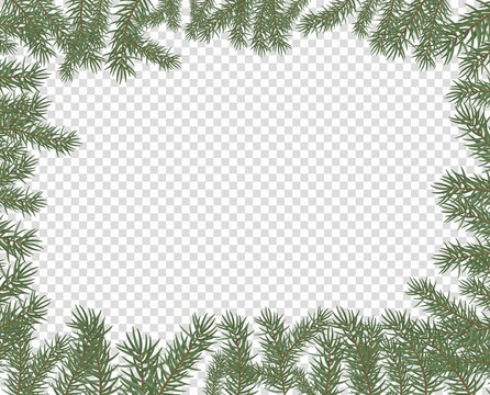 Vector illustration of a frame of fir branches. New year, merry Christmas spruce conifer decor, border pattern on isolated transparent background.