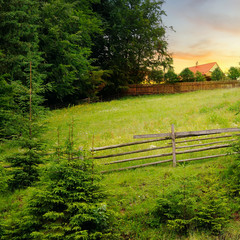 Slopes of the mountains, beautiful spruce and a bright sunset. Rural landscape.