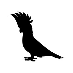 Vector image of a black cockatoo parrot on an isolated white background