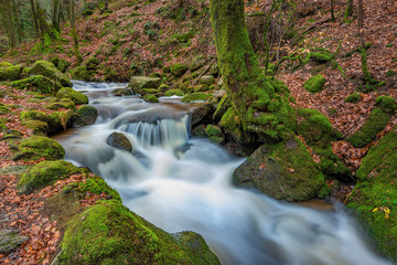 Black Forest in Germany with some smaller waterfall cascades
