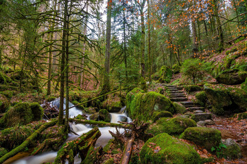 Black Forest in Germany with some smaller waterfall cascades