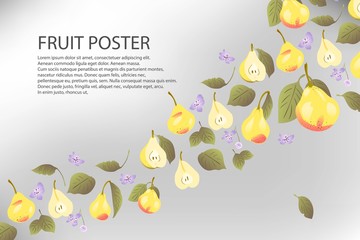 A poster with pears. Leaves, flowers, fruits. Vector set. Diet, detox.