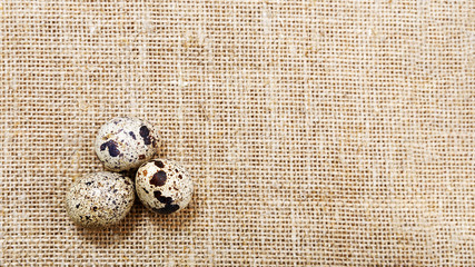 Burlap background with three small spotted quail eggs