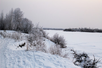 winter landscape