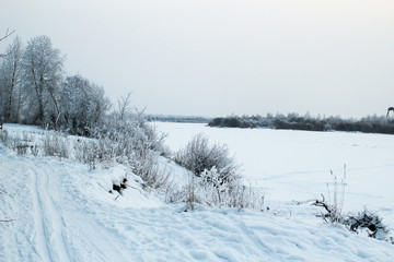 winter landscape with trees and snow