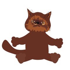 nice kitten on white background 