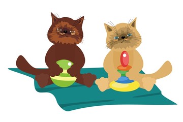 nice cats with toys
