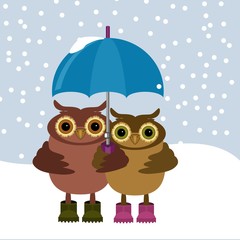 nice pair of owls with umbrella in winter days