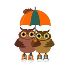 pair of owls with umbrella on white 
