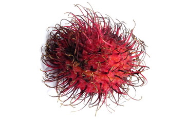 Naklejka premium Rambutan fruit (Nephelium lappaceum)