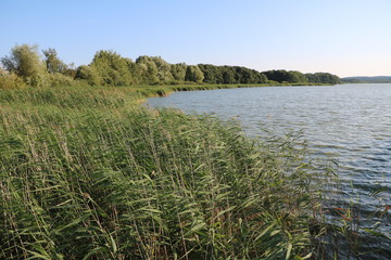 The Lake Schmachter See in Binz on the Island Rügen in Germany 