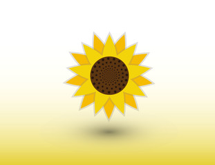 A yellow sunflower vector logo on white background with shadow illustration
