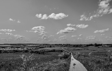 Black and white summer landscape. The road stretches into the distance. Growing grass and trees and sky with small clouds.