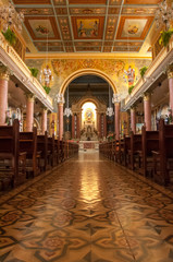 Fototapeta na wymiar Basílica Nossa Senhora do Patrocínio, Araras.