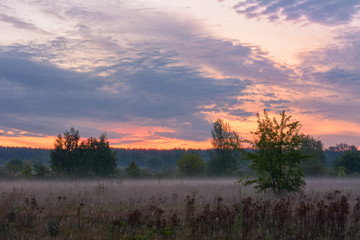 Obraz premium Sunrise over the meadow in the summer