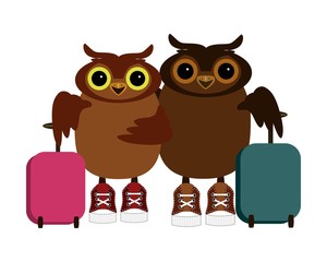nice owls wih baggage isolated on white 