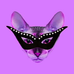 Contemporary art collage. Glamor cat in stylish masquerade mask
