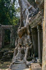 Ruin of a temple of Angkor Wat, Cambodia