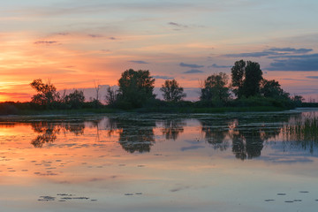 Obraz premium Sunrise over the river in the spring
