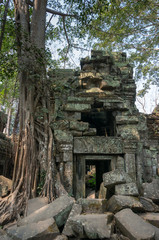 Fototapeta premium Ruin of a temple of Angkor Wat, Cambodia