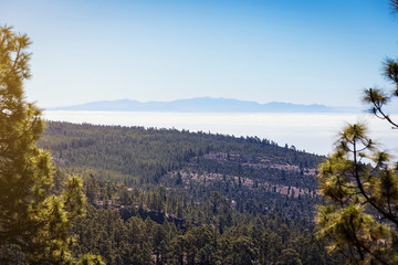 Fototapeta premium Beautiful landscape of Teide national park, Tenerife, Canary island, Spain