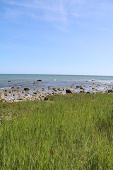 Fototapeta na wymiar North shore Wittow and Hohe Dielen at Cape Arkona on Island Rügen, Germany Baltic Sea 