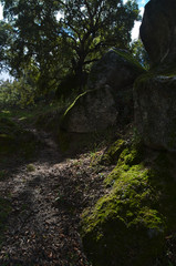 Nature and rocks in Monsanto mountains. Castelo Branco, portugal