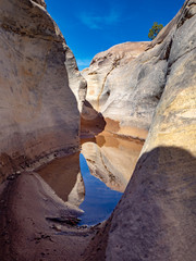 Ojito Wilderness New Mexico 1