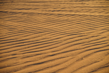 Details of the waves of the desert dunes