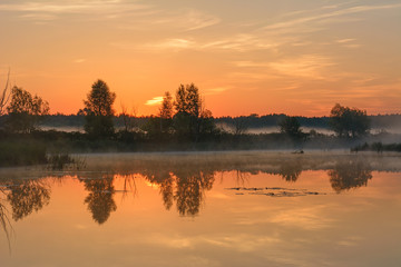 Obraz premium Sunrise over the river in the spring